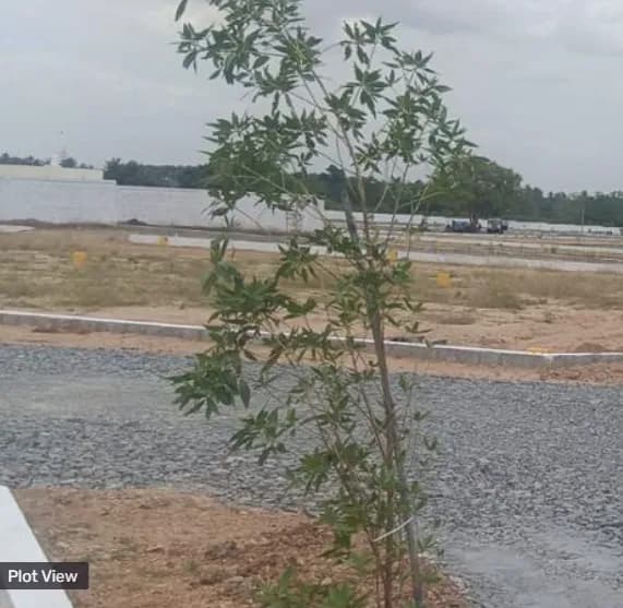 plot for sale 