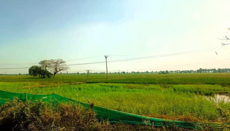 Land for sales