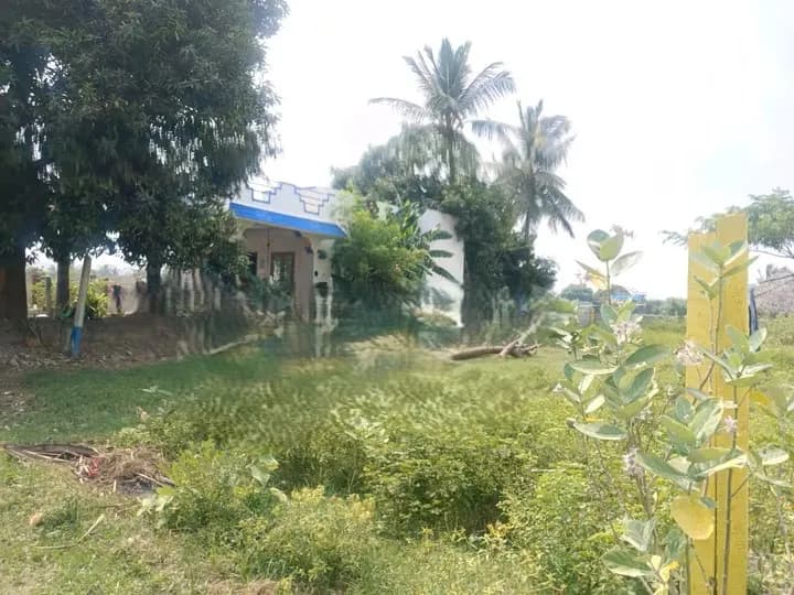 plot for sale 