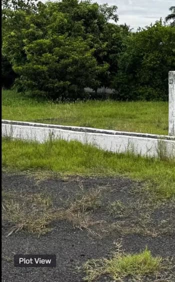 plot for sale 