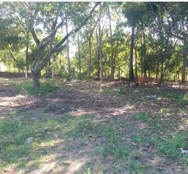 Land for sales