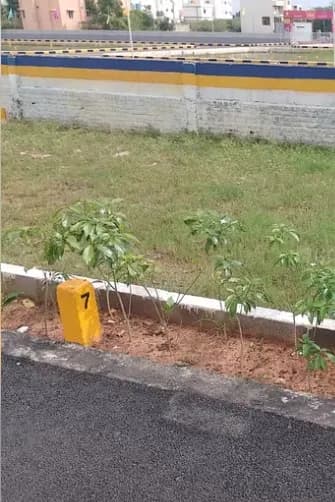 plot for sale 