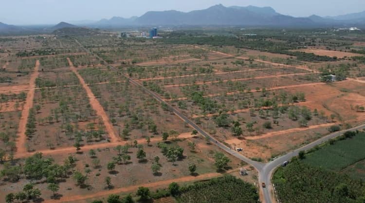 Land for Sale
