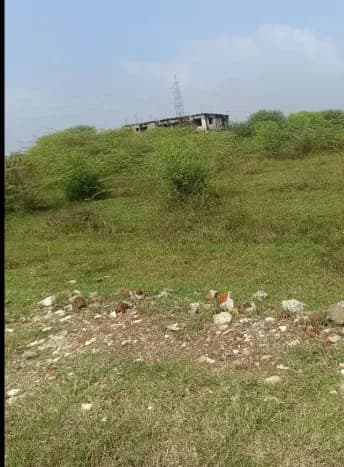 plot for sale