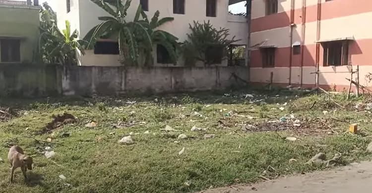 Land for sales