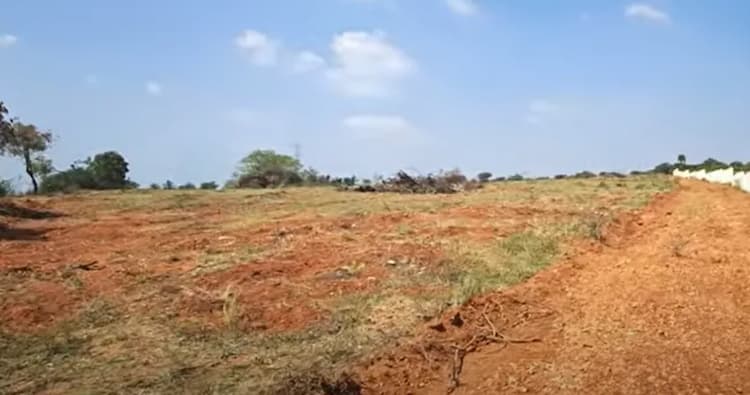 Land for sales