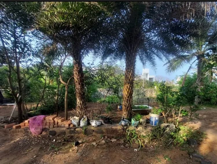 Land for sales