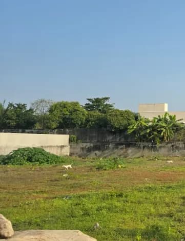 Land for sales