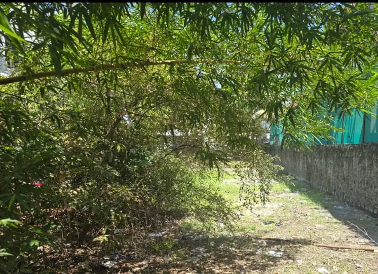 Land for sales