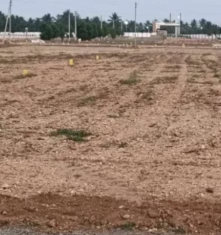 plot for sale 