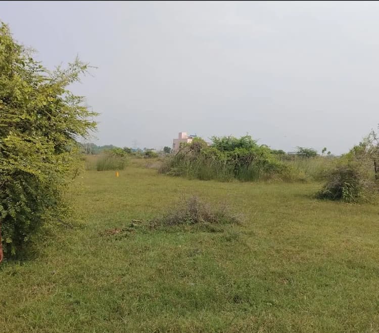 Land for sales