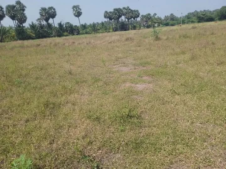 Land for sales