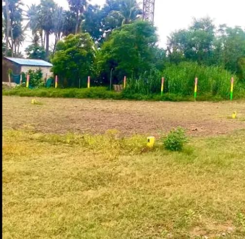 plot for sale 