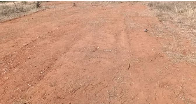 Land for sales