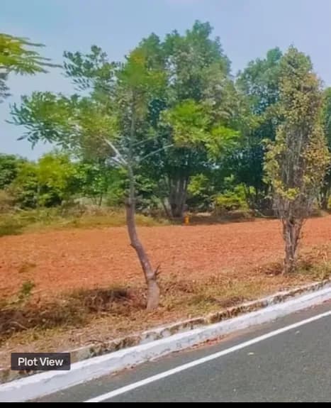 plot for sale 