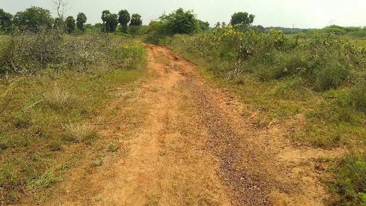Land for sale