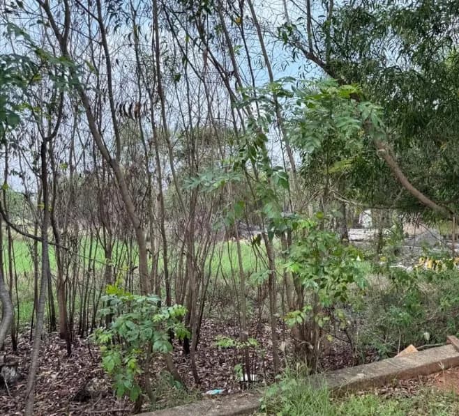 Land for sales