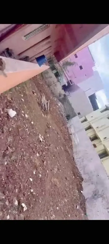 5.5 cent Plot