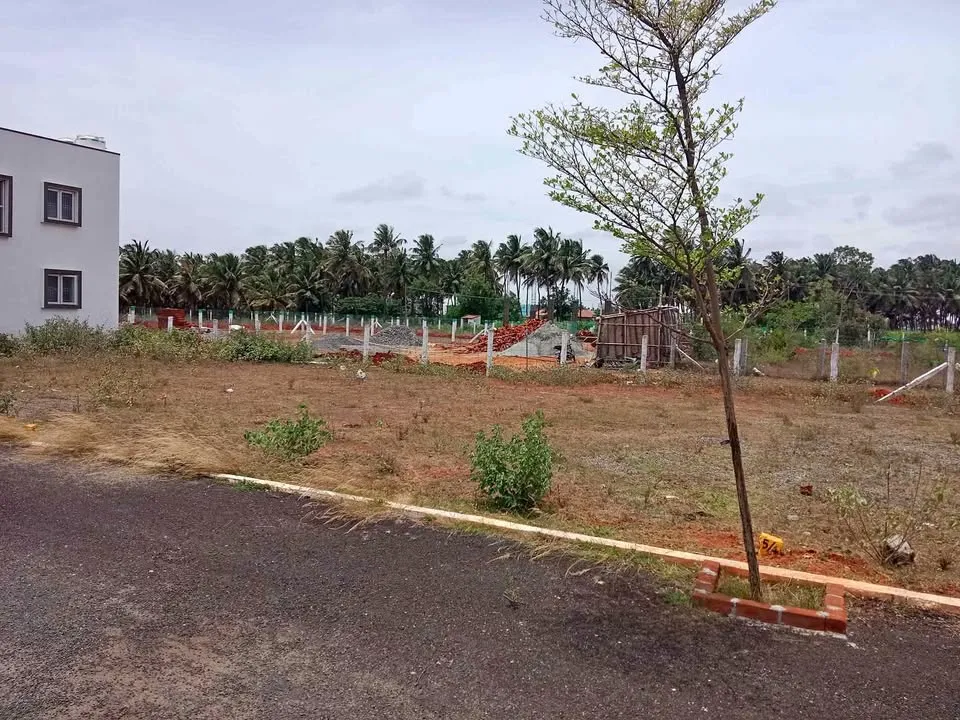 1 cent Plot