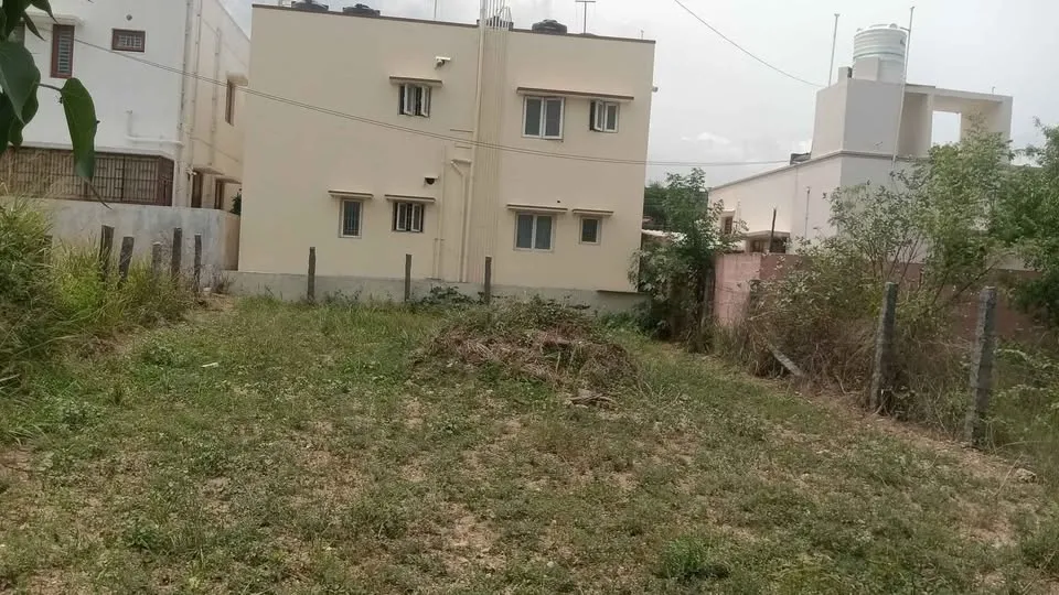 1 cent Plot