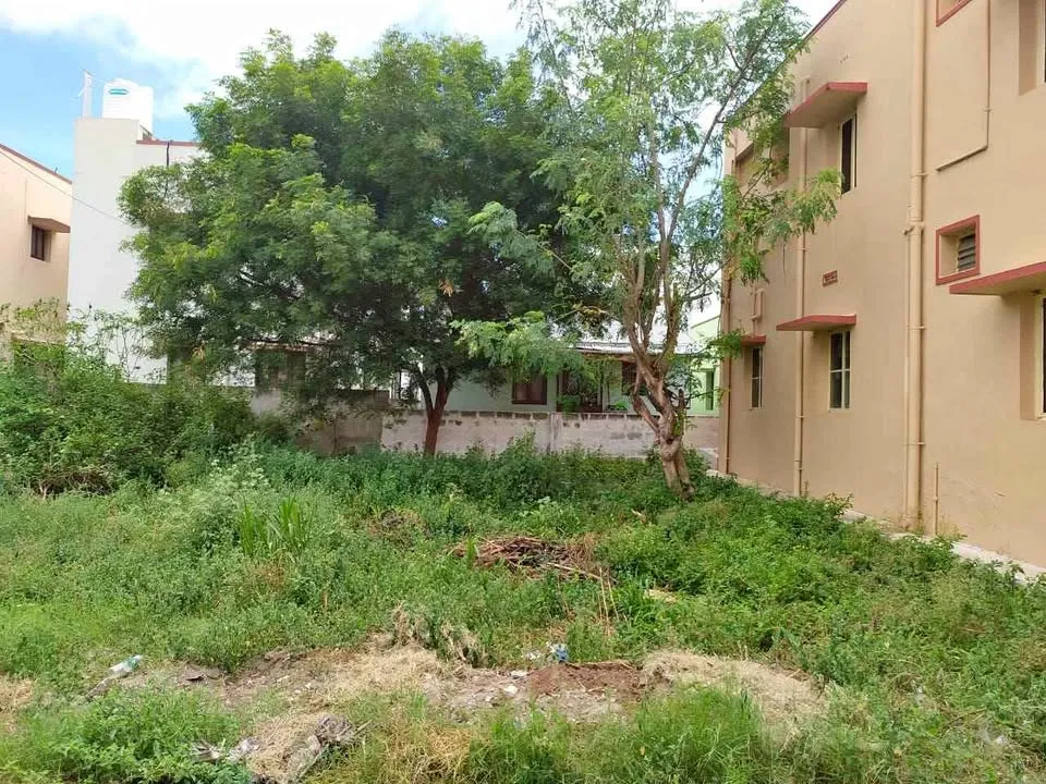 2.5 cent Plot
