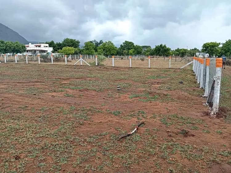 21 cent Plot