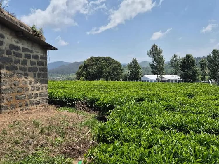 Single Property Image