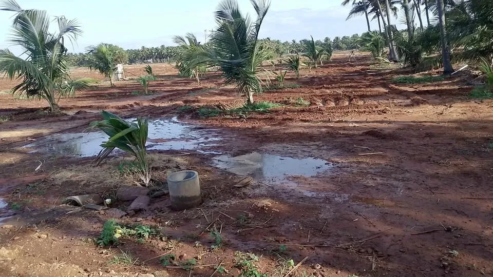2.50 acre Plot
