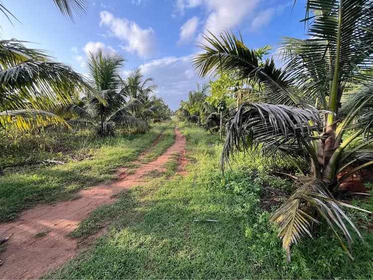 Single Property Image