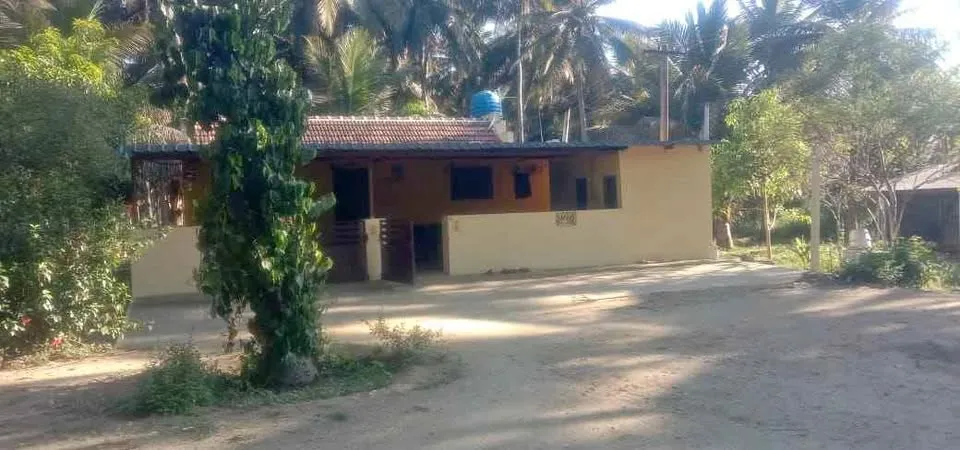 2.67 acre Plot