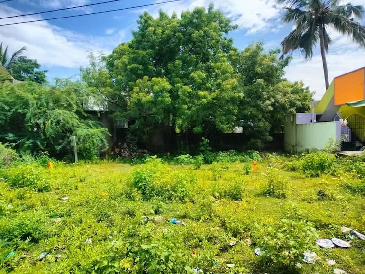 Single Property Image