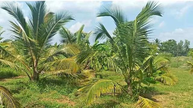 Trending Projects Image