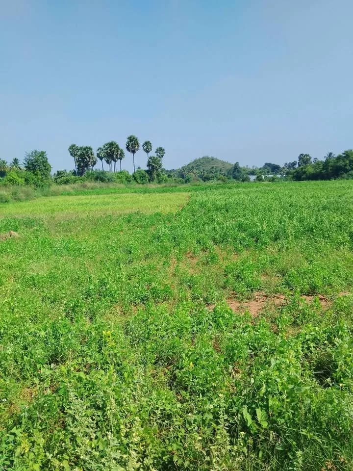 1.80 acre Plot