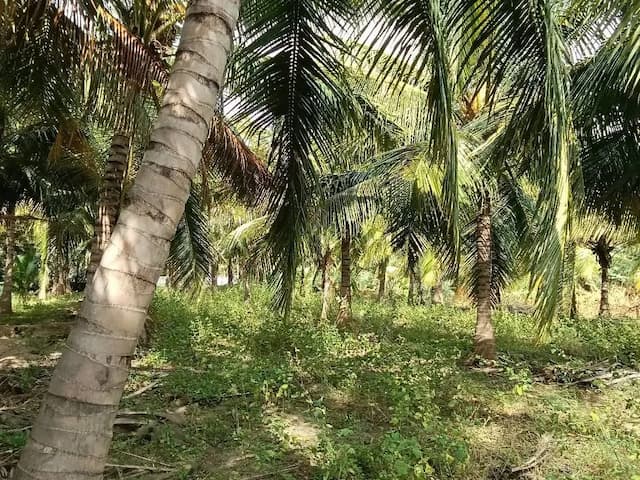 Trending Projects Image