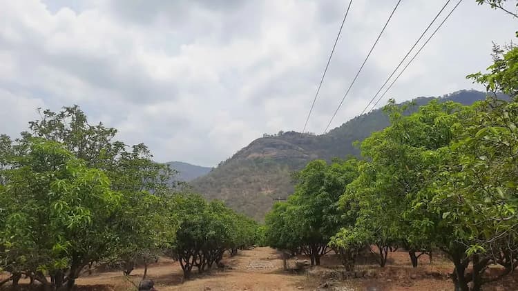 Single Property Image