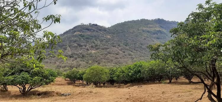 Single Property Image