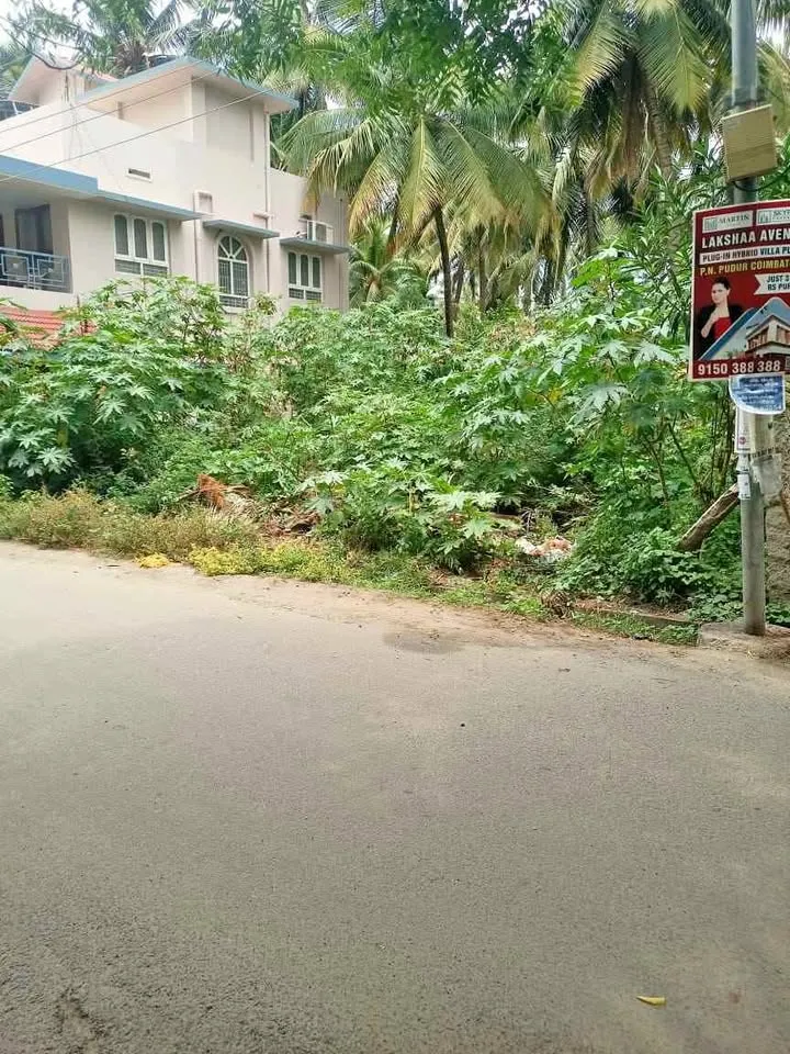 4.50 cent Plot