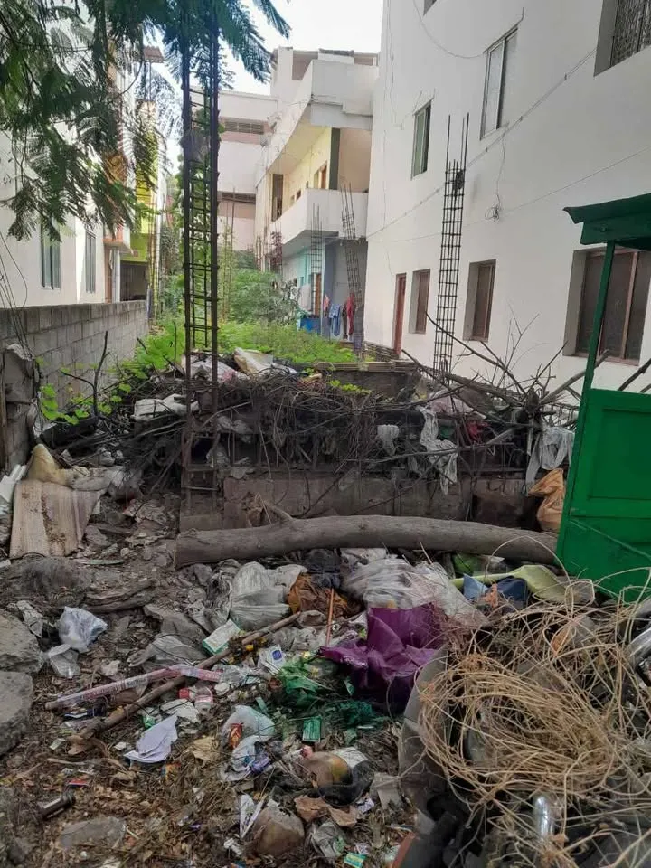 2.40 cent Plot