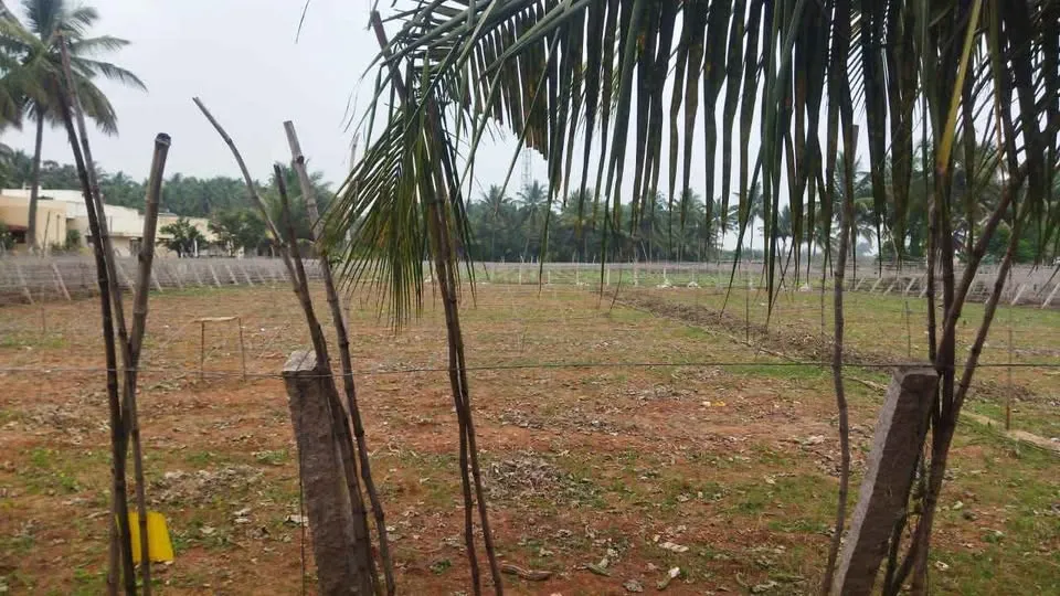 2 acre Plot
