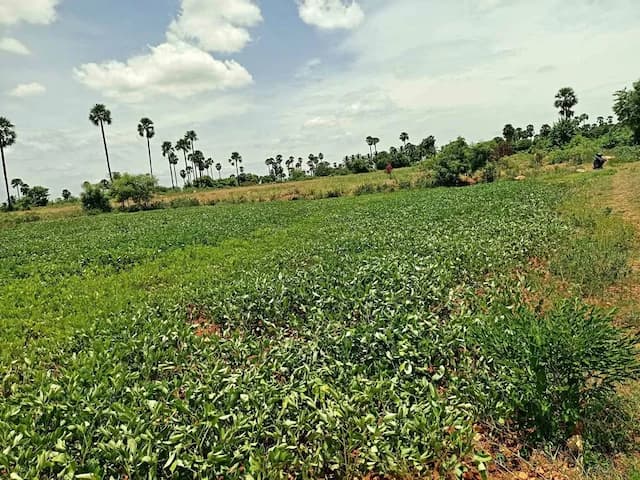 Trending Projects Image