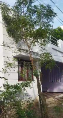 Trending Projects Image