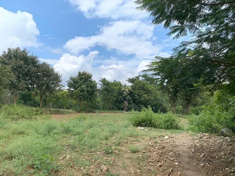 Single Property Image