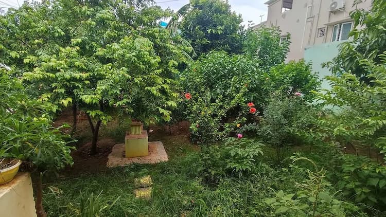 Single Property Image