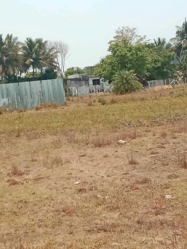 Trending Projects Image