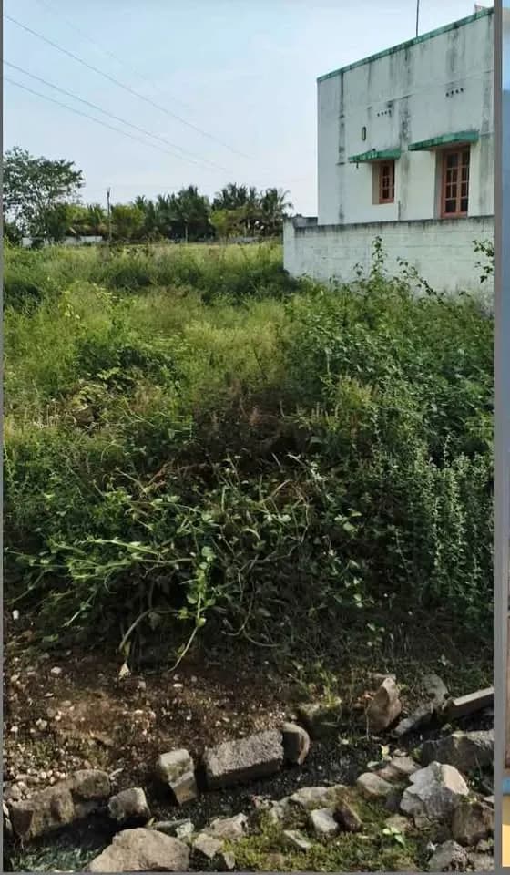 7 cent Plot
