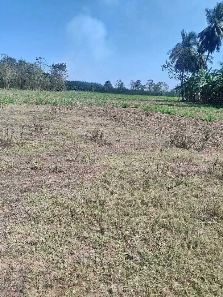 5 acre Plot