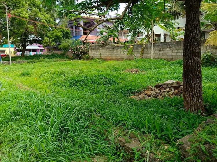 5 cent Plot