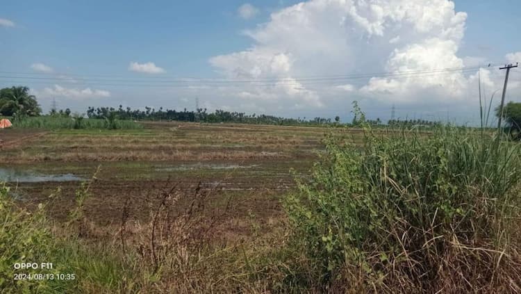 Land for sales