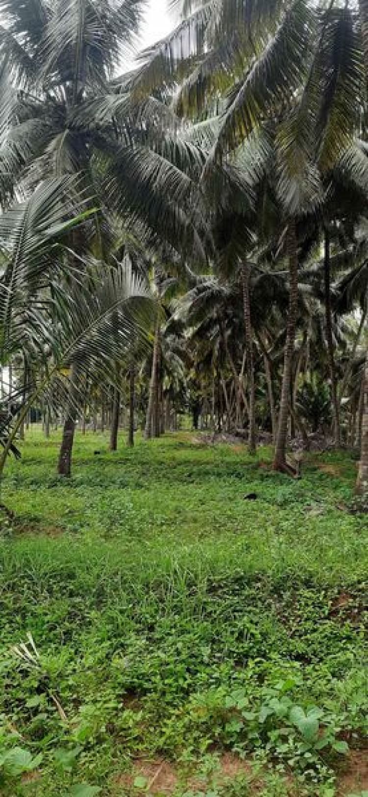 land sale
