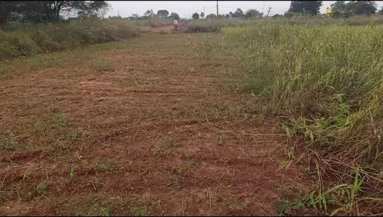 Farm land